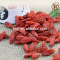 Secado Normas de importación de la UE Goji Berry